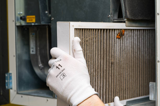 Best Residential Air Duct Cleaning  in Lla Lla, WA