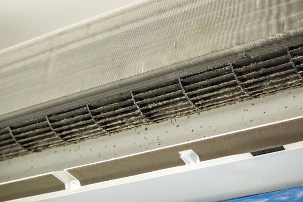 Best Local Air Duct Cleaning Services  in Lla Lla, WA